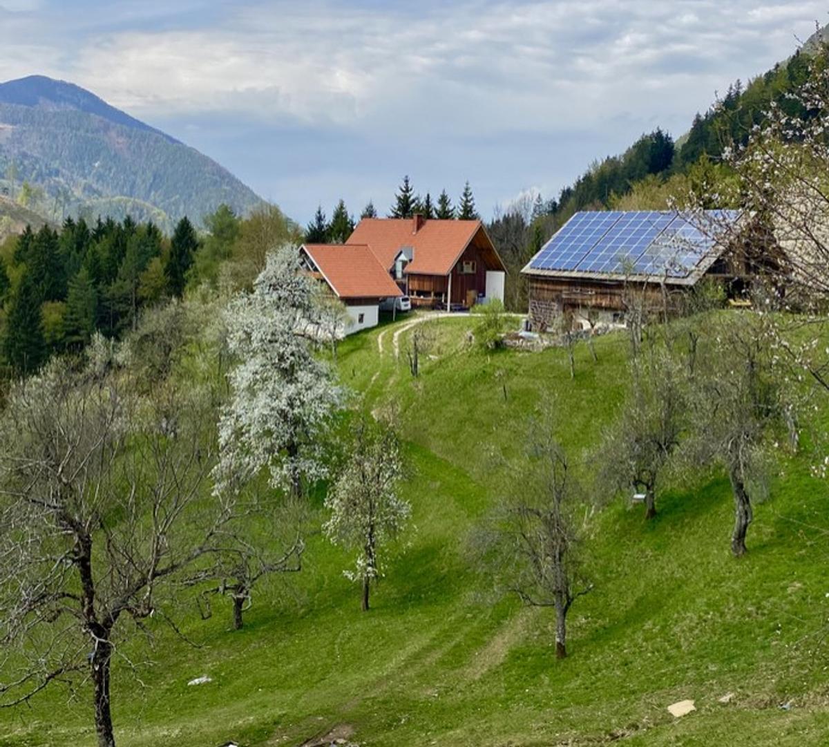 Tadej Čertov