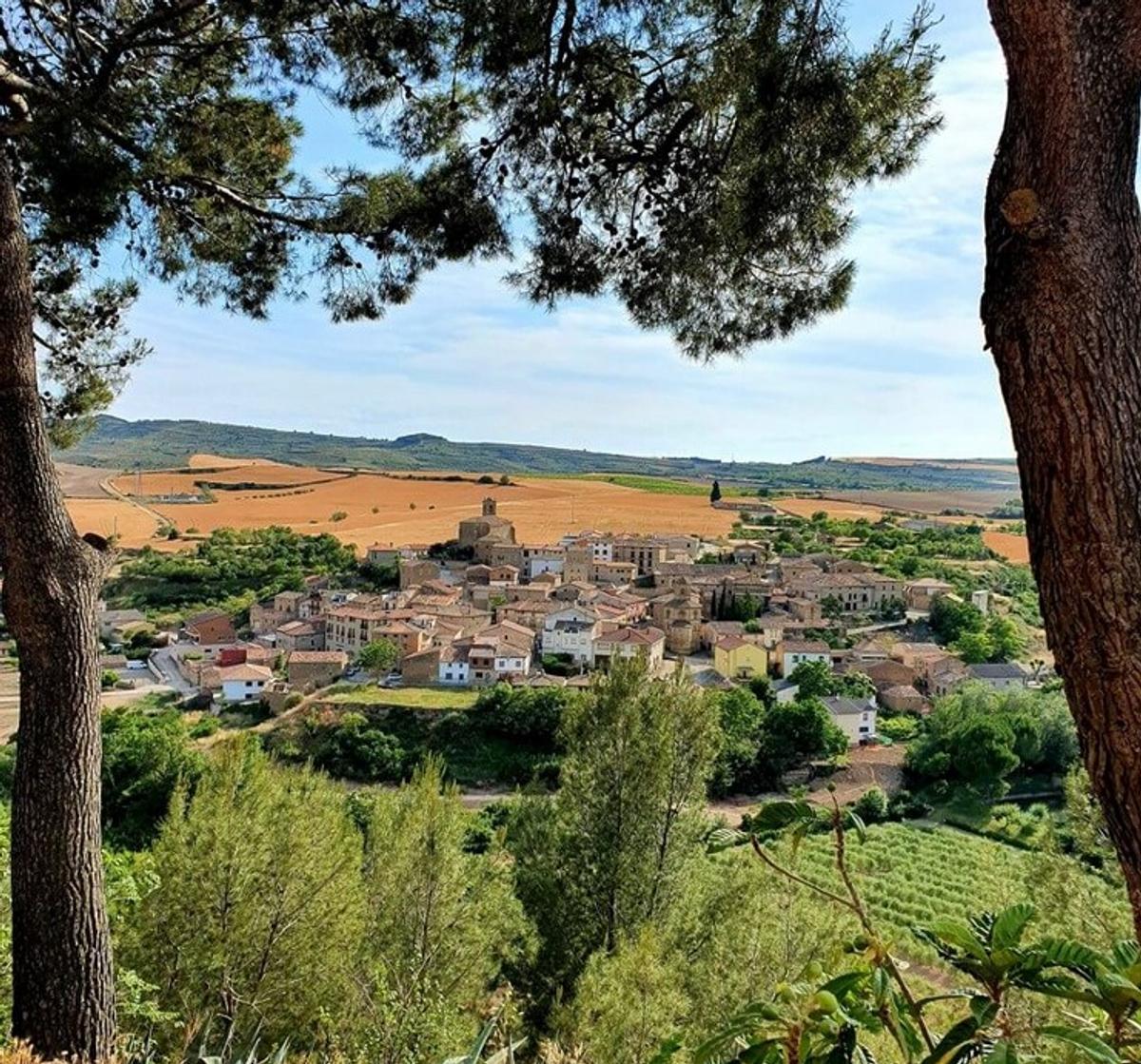 Anton Krepek Camino