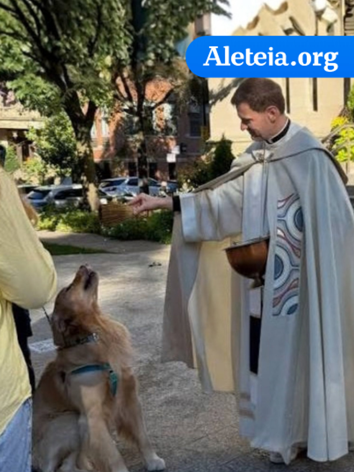 Dog Blessing