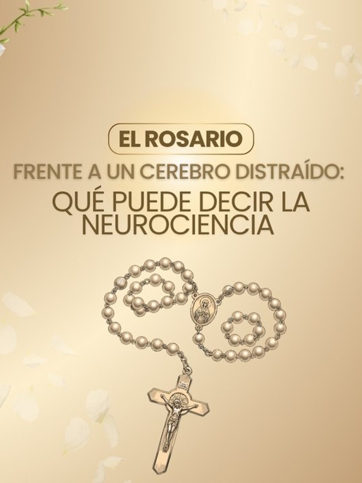 (VIDEO) El Rosario frente a un cerebro distraído: qué puede decir la neurociencia.