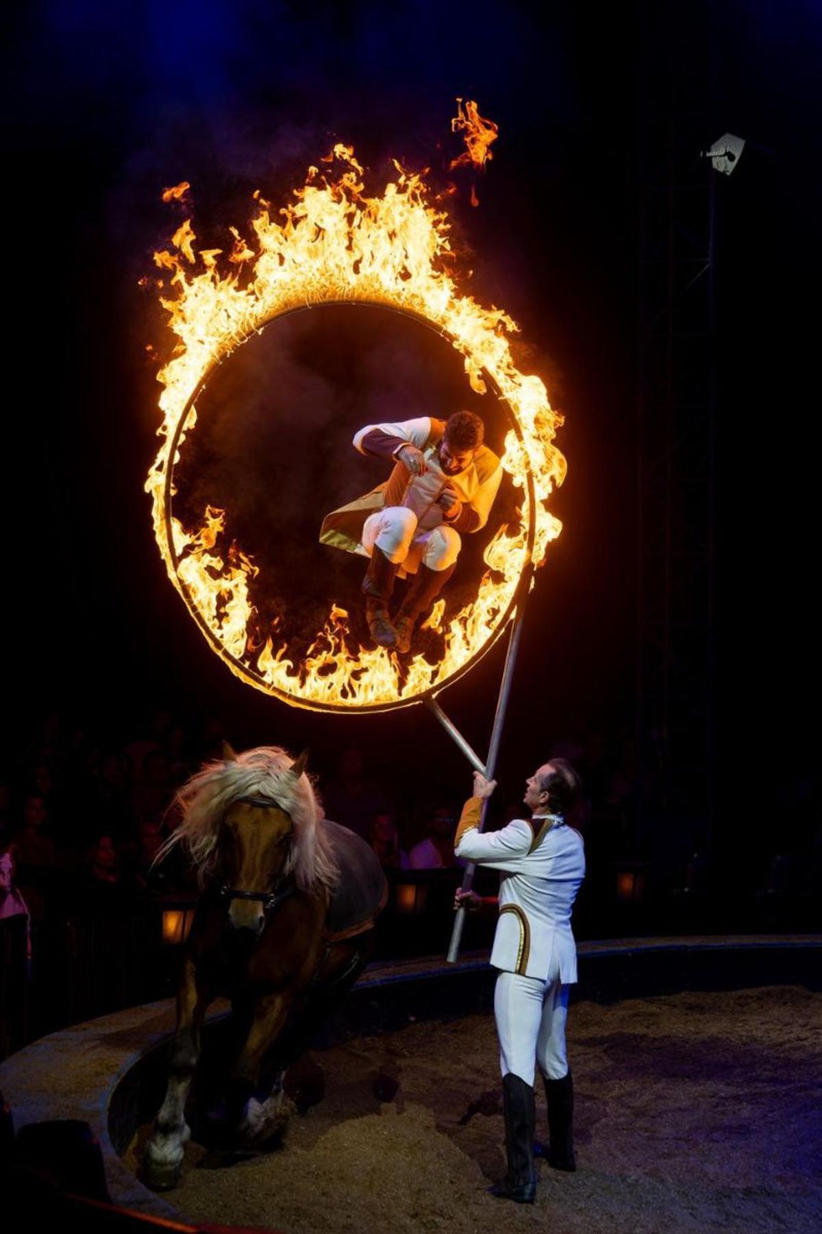 charles gruss, cirque