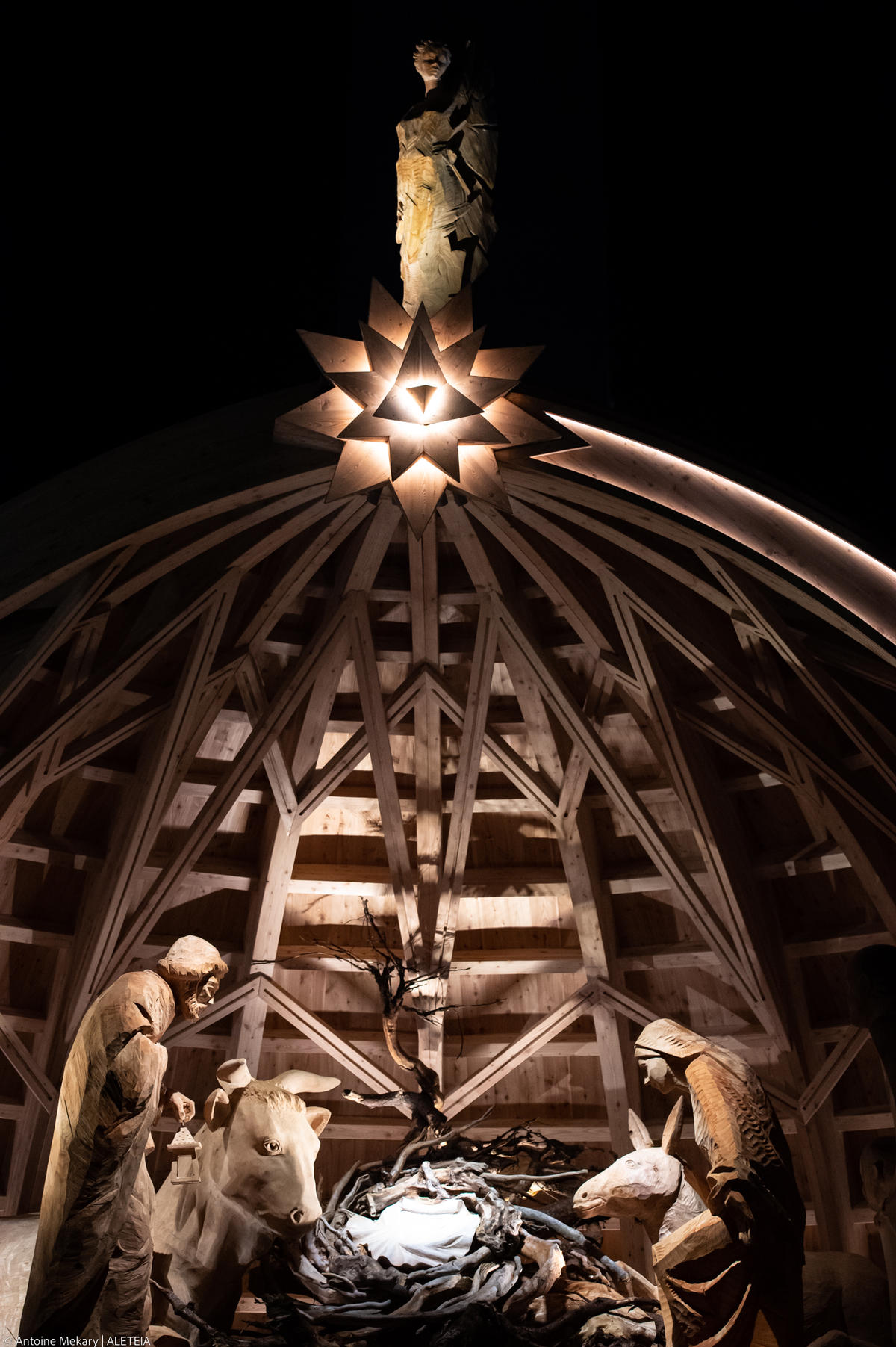 Lighten up Christmas Tree and Nativity Scene at St. Peter's Square in the Vatican.