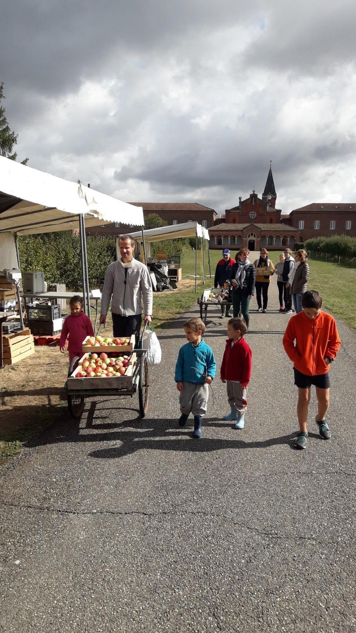 Cueillette de pommes à l'Abbaye des Dombes.