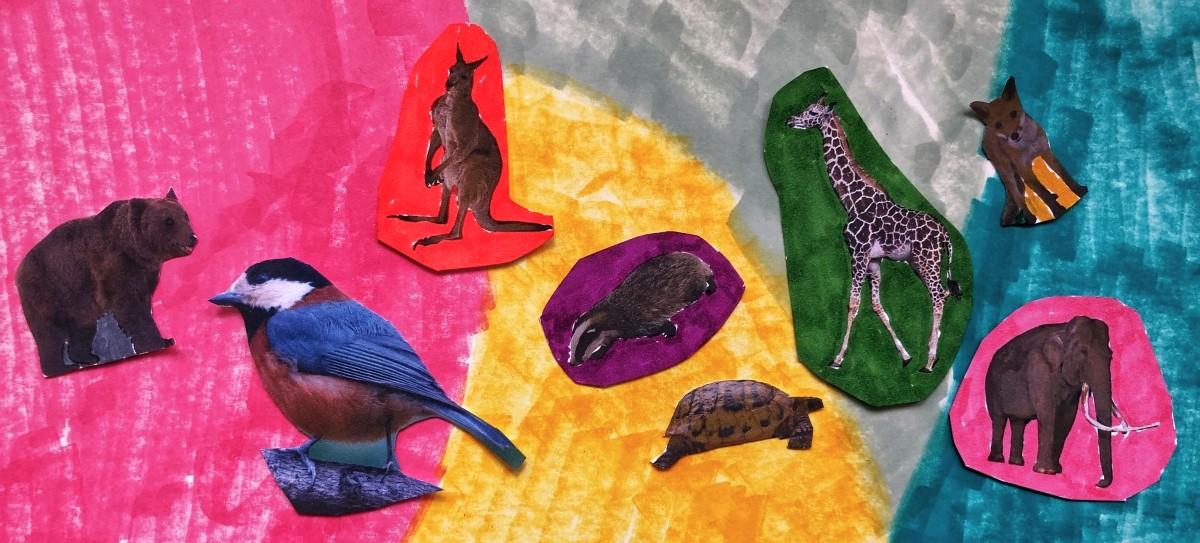 Burges books - animals and birds on colored paper