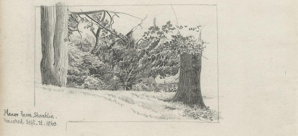 A sketch by Gerard Manley Hopkins from his notebooks