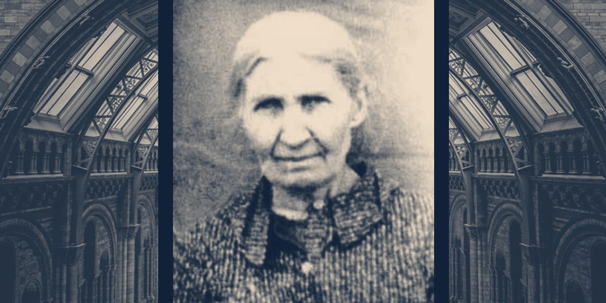 MARIANNA BIERNACKA