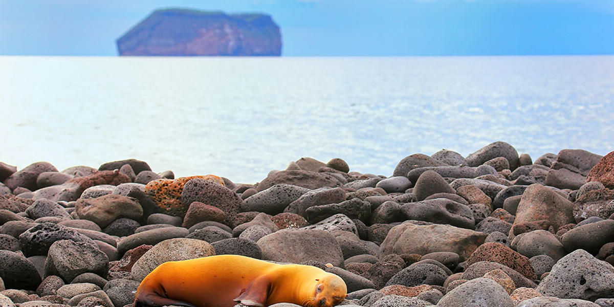 Las maravillas de Galápagos