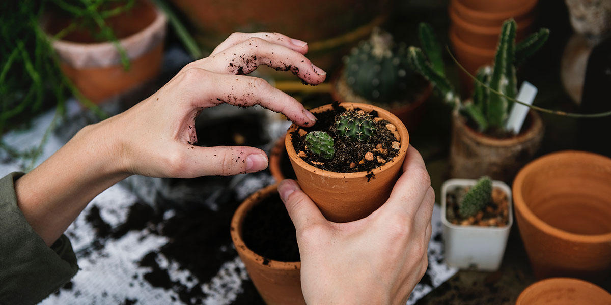GARDENING