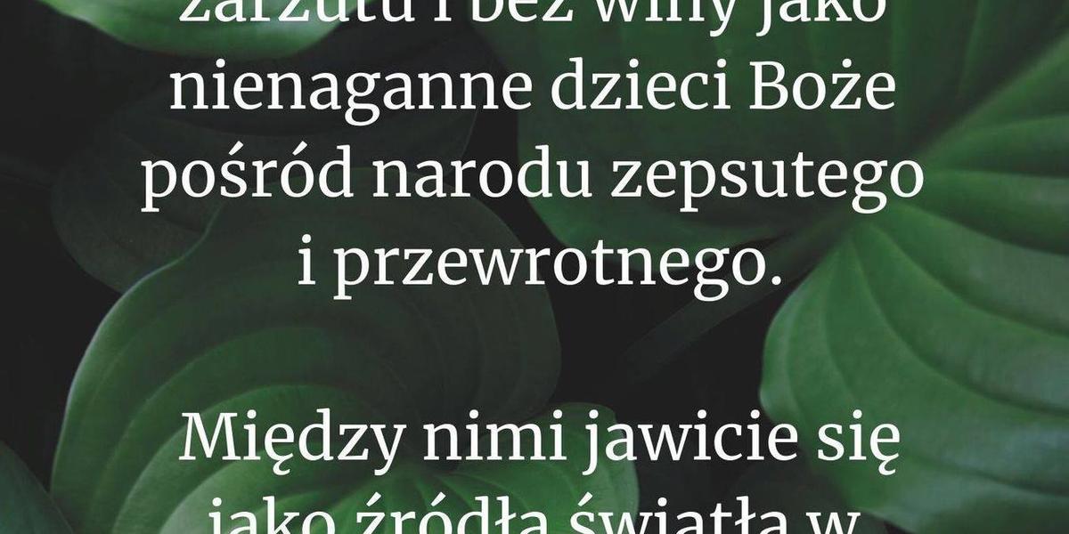 Cytat z Biblii dla ciebie na dziś [5 lipca]