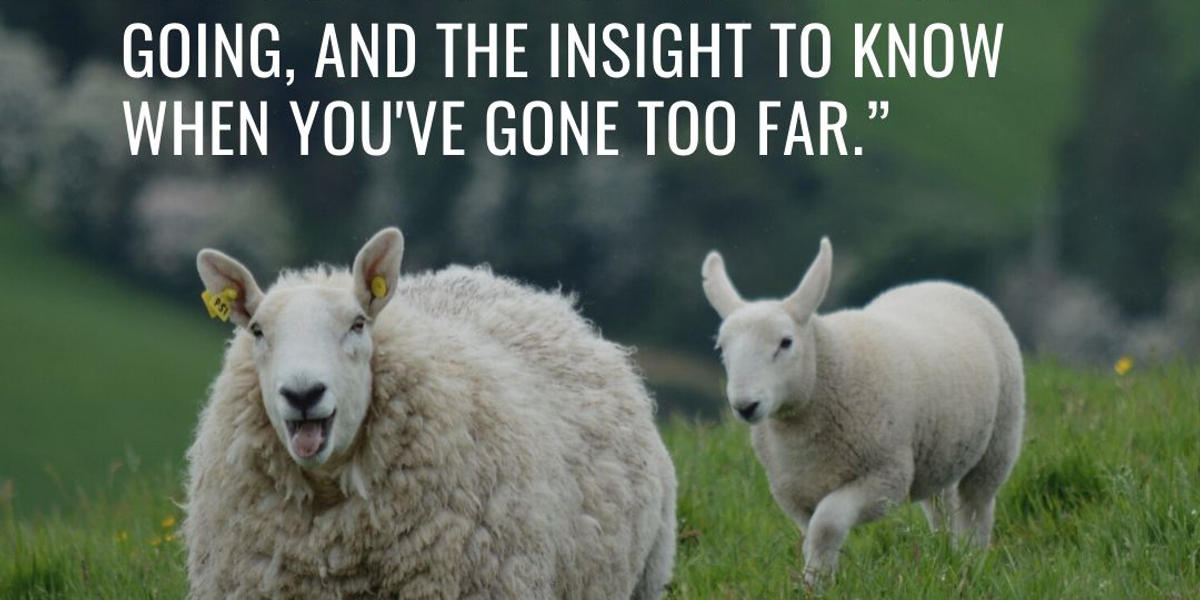 {"rendered":"(Slideshow) 12 Popular Irish sayings to make you smile, reflect, and be grateful"}