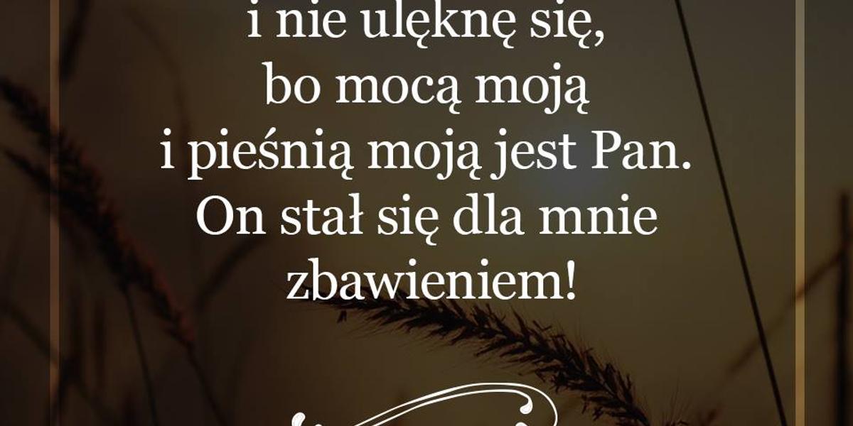 Cytaty z Biblii dla ciebie na dziś [7 kwietnia]