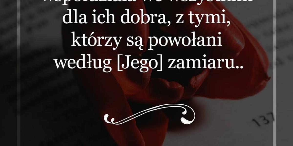 Cytat z Biblii dla ciebie na dziś [13 kwietnia]