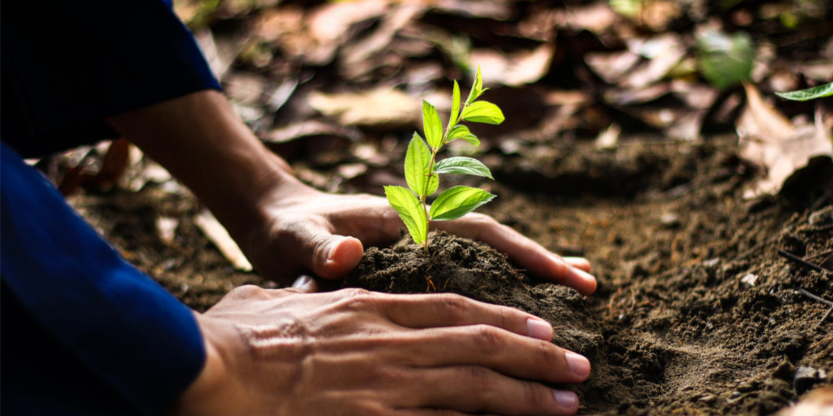 ECOLOGIE