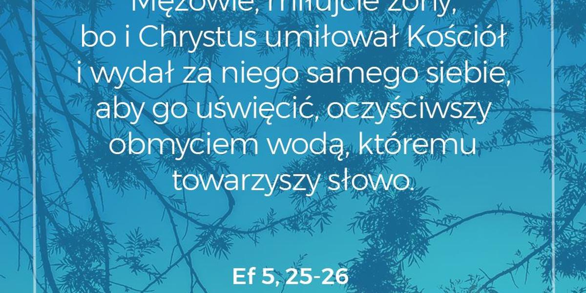 {"rendered":"Cytat z Biblii dla ciebie na dzi\u015b [17 czerwca]"}