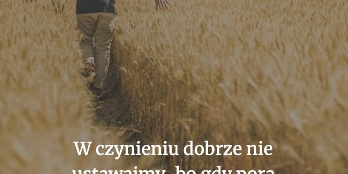 Cytat z Biblii dla ciebie na dziś [11 lipca]