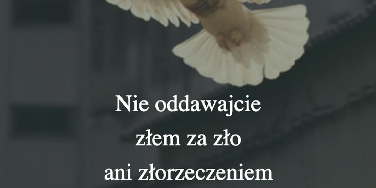 Cytat z Biblii dla ciebie na dziś [11 sierpnia]
