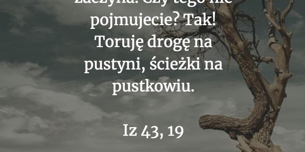 Cytat z Biblii dla ciebie na dziś [2 października]