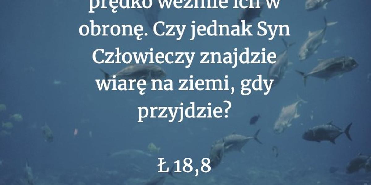 Cytat z Biblii dla ciebie na dziś [7 października]