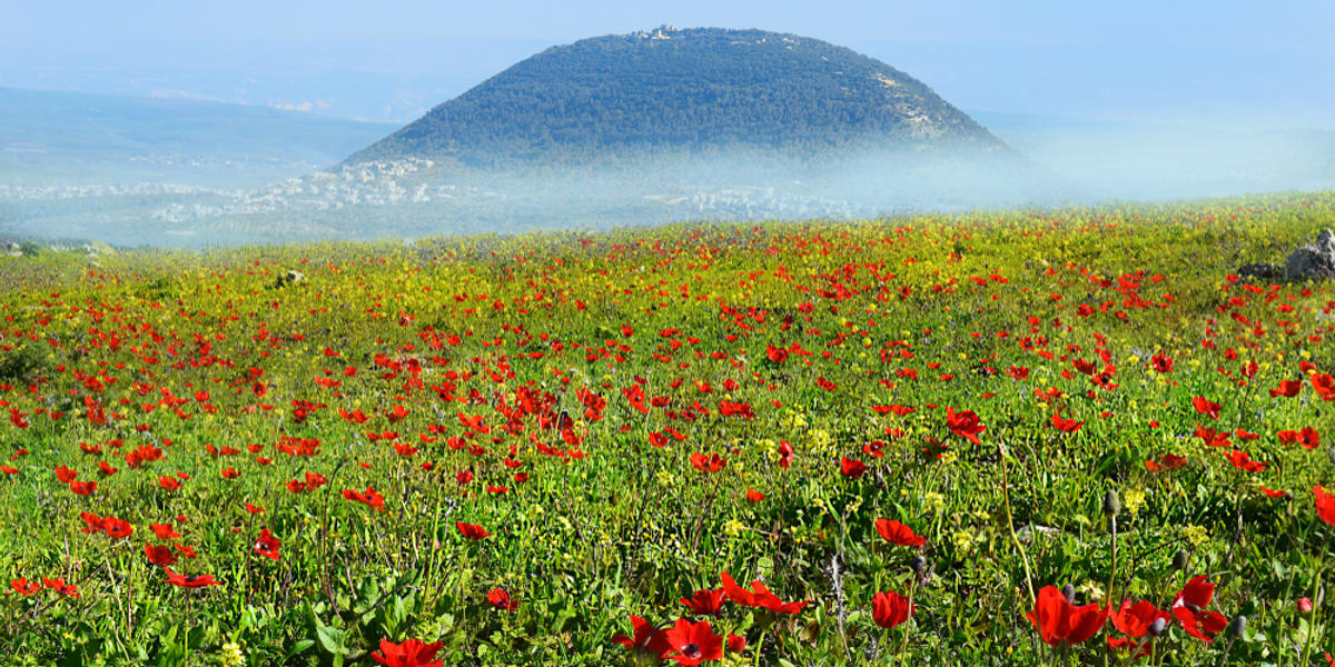 [GALERIA] Primavera en Tierra Santa