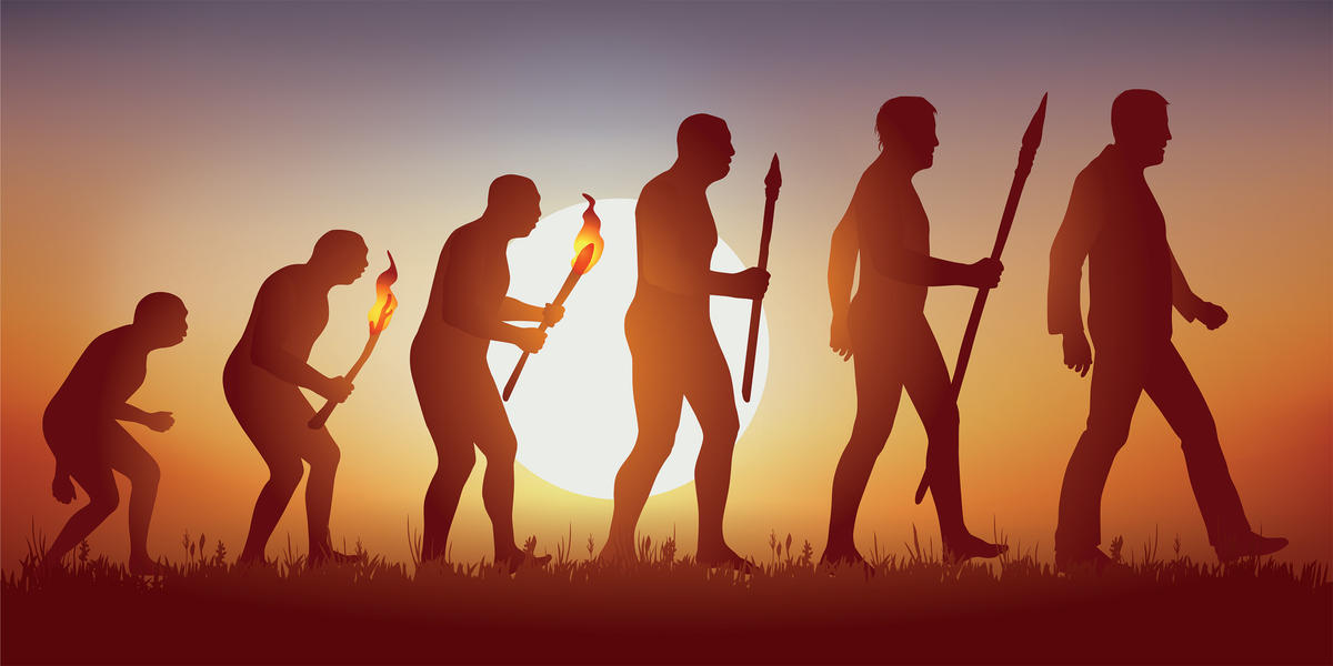 Concept of Darwin’s theory of evolution