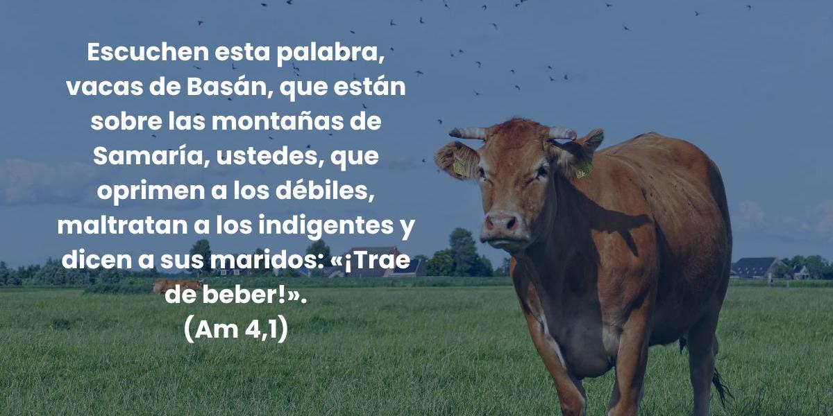 Divertidos insultos que aparecen en la Biblia