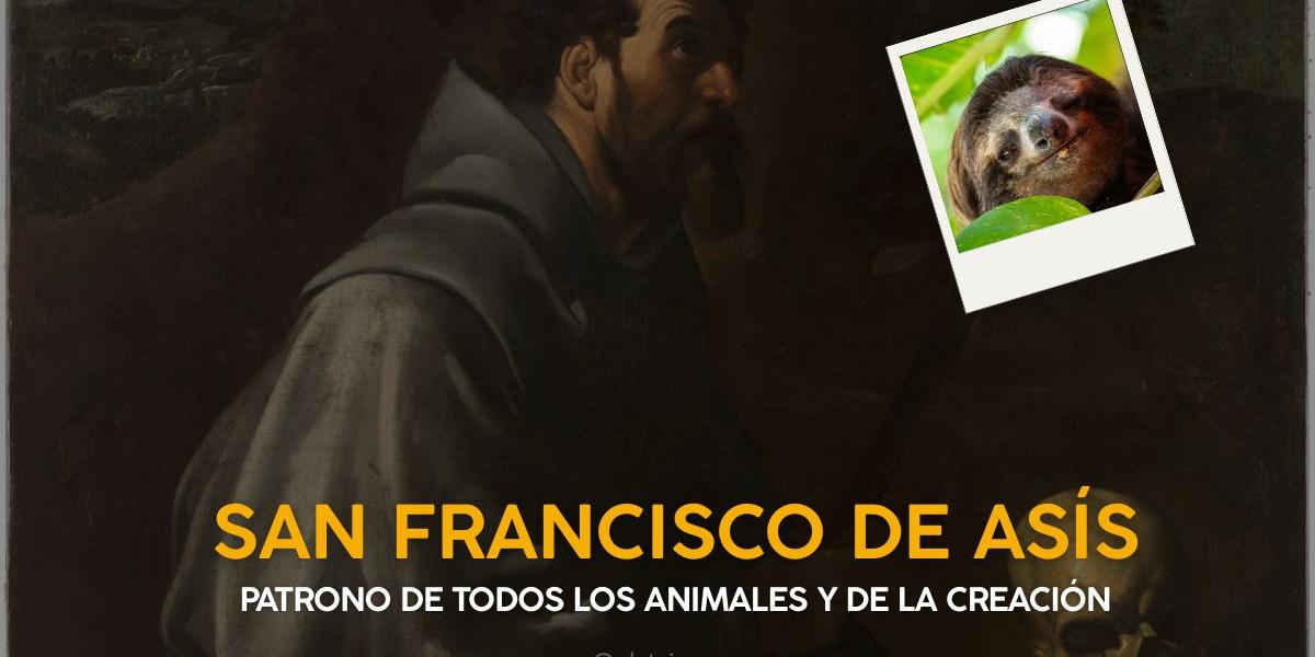 Protetores dos animais