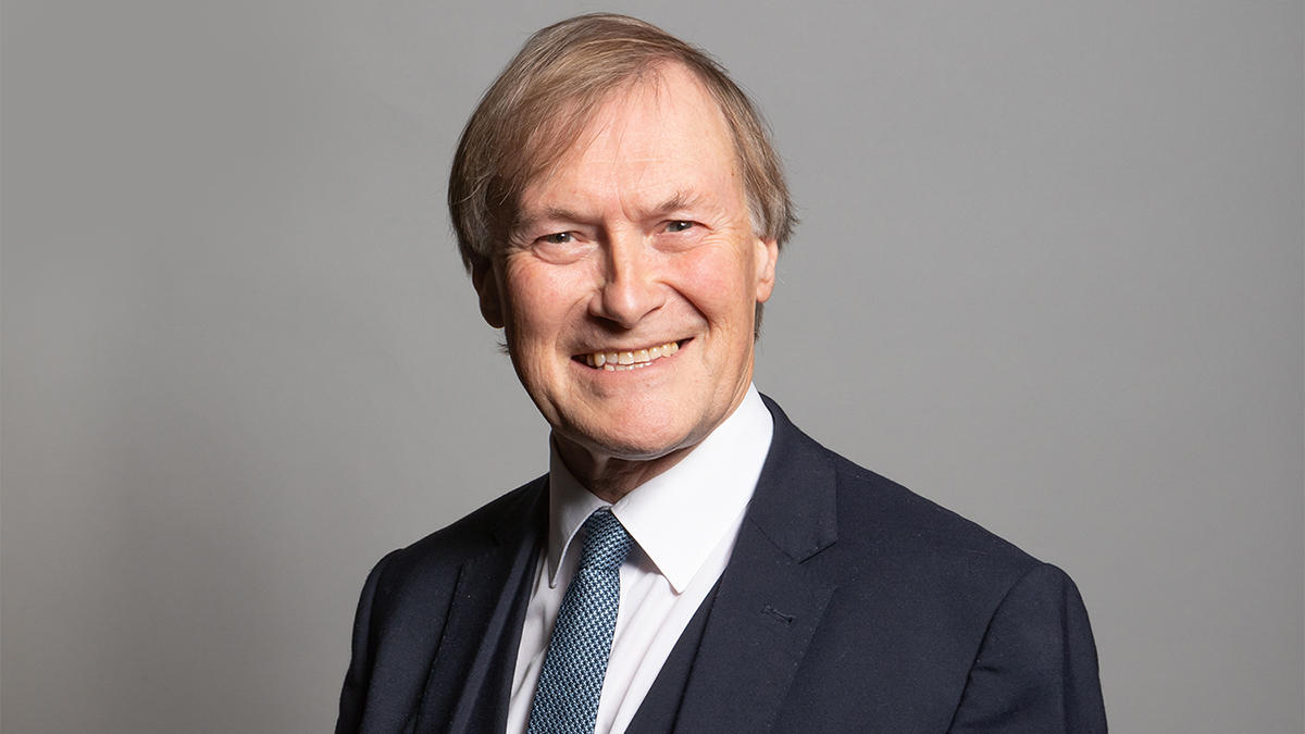 SIR DAVID AMESS