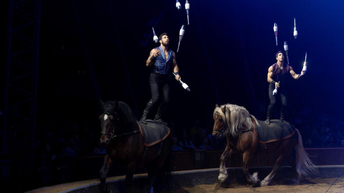 charles gruss, cirque