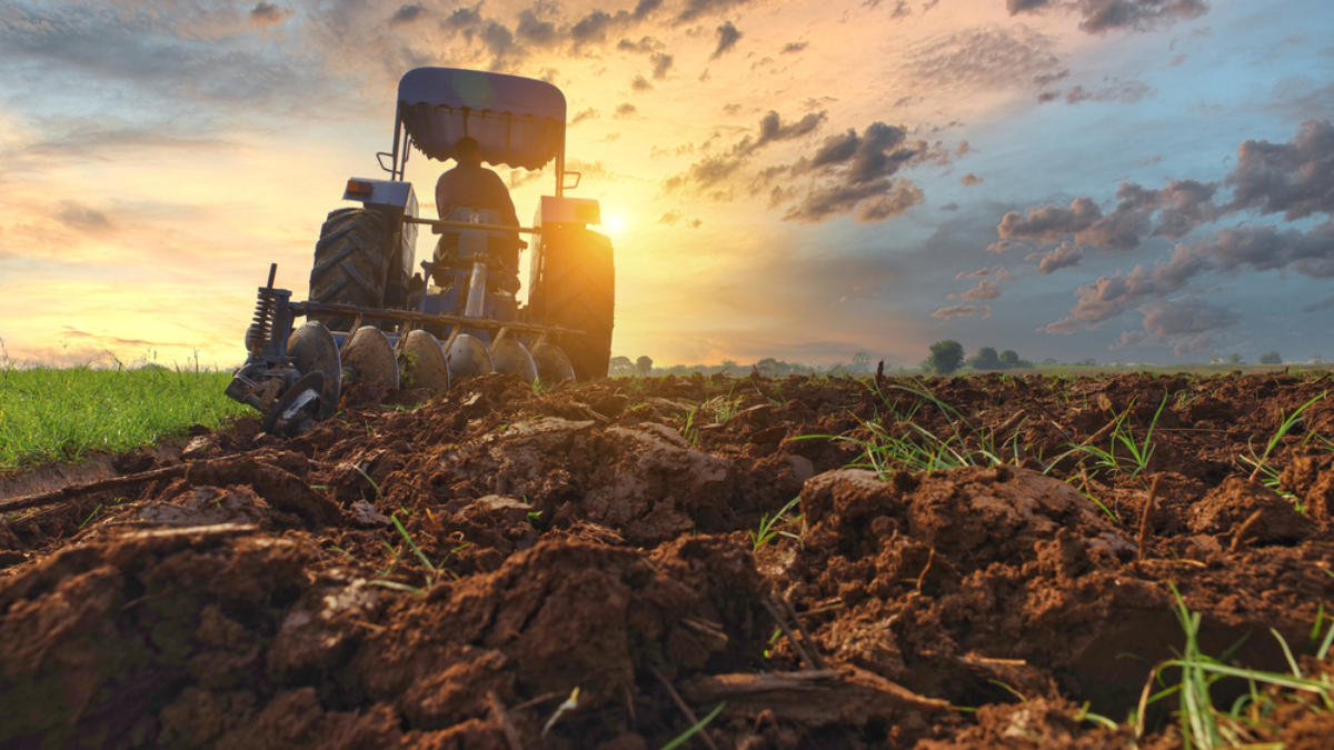 Farmer on tractor