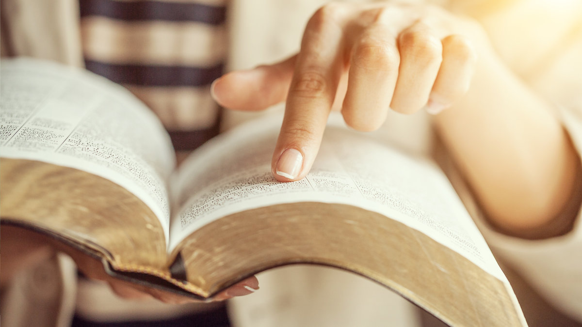 Woman-reading-book-shutterstock_1148158193.jpg