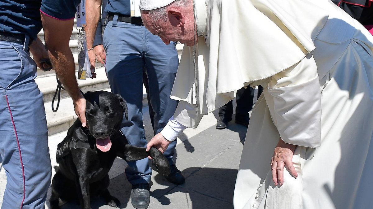 web-leo-labrador-papiez-trzesienie-ziemi-afp-east-news