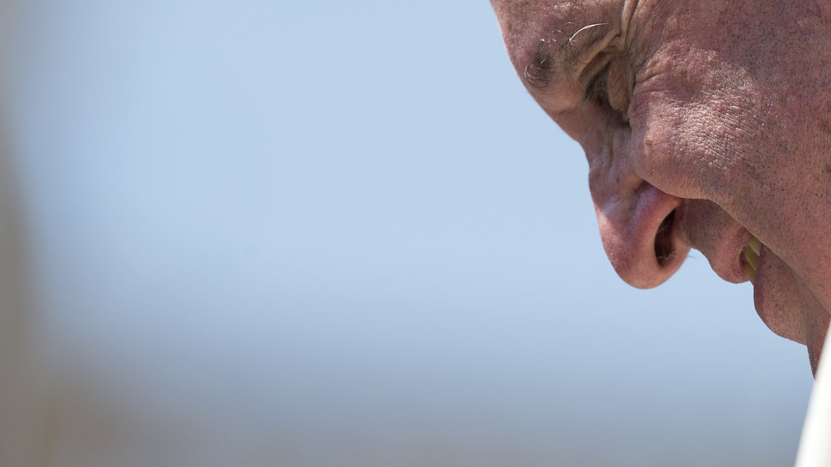 Pope Francis – Profile – Portrait – Close-up