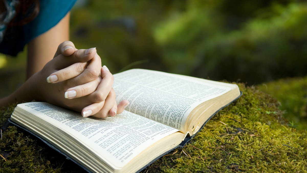 Young woman reading bible by stream in summer