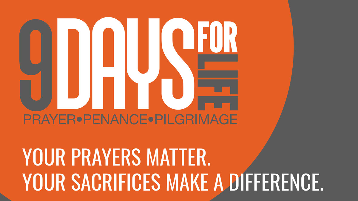 web-9-days-for-life-promo-usccb