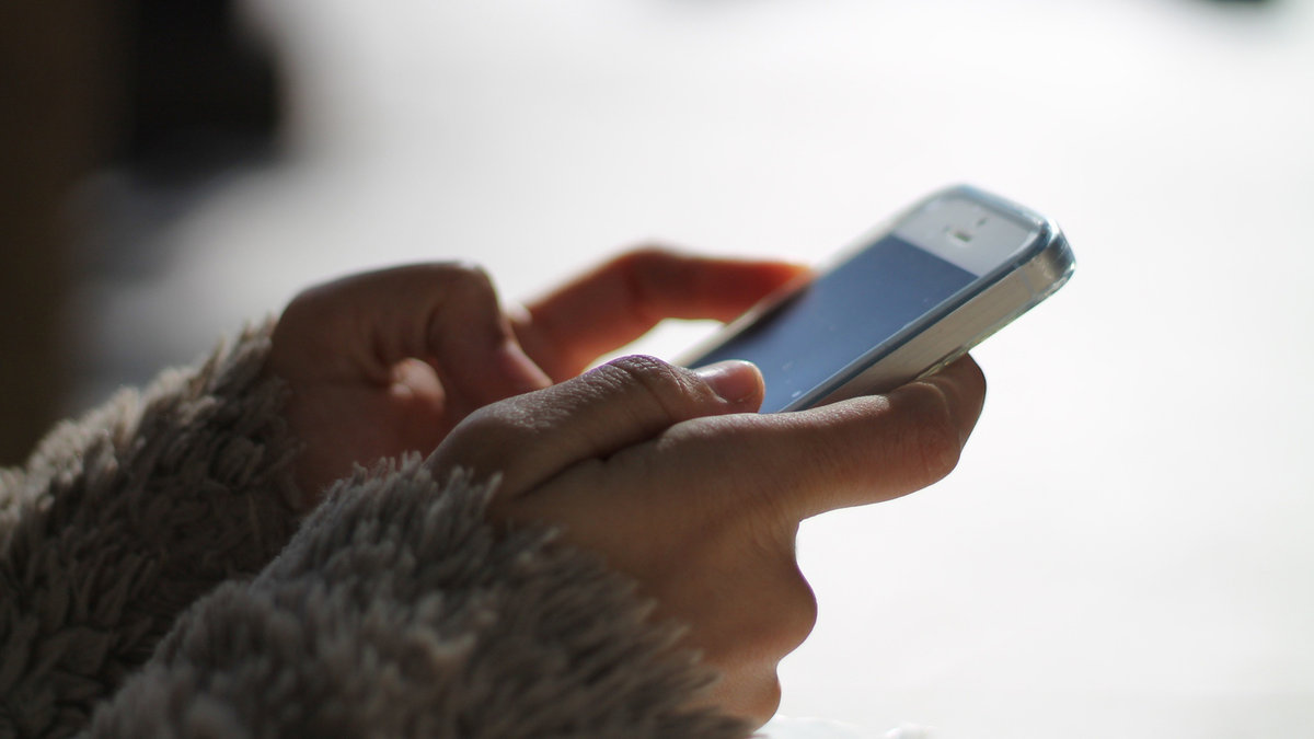 web-telefon-dlonie-rece-smartfon-pixabay-cc0