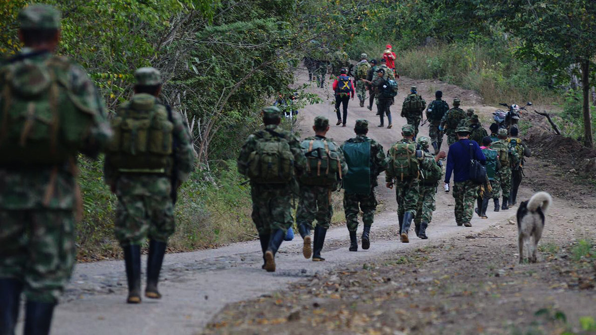 web-colombia-farc-zonasveredales-alto-comisionado-para-la-paz-sistema-informativo-del-gobierno