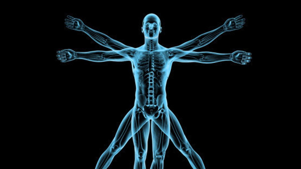 human-body