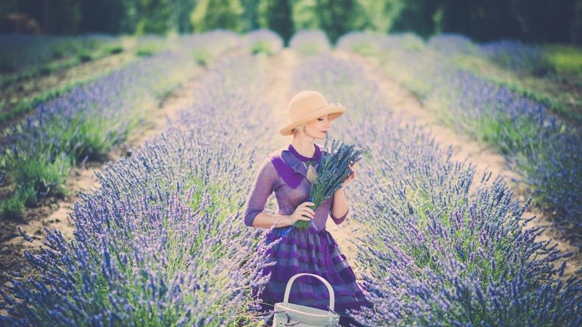 purple flower lady hat field lavander