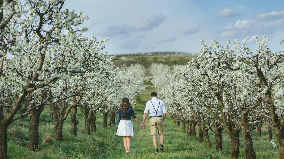 WEB-Couple-walking-in-theo-rchard,-holding-their-hands.-Love-concept.-Engagement-photo-session-©-mpaniti—Shutterstock—shutterstock_385657906