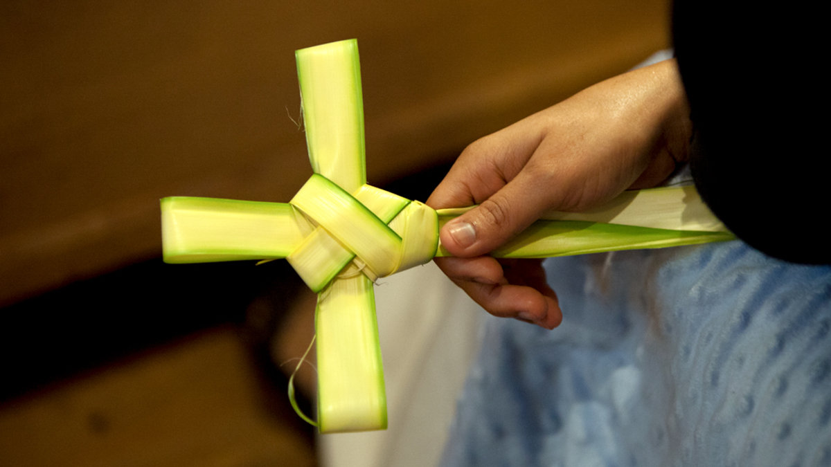 WEB3 PALM SUNDAY ARCHDIOCESE OF BOSTON  13833595675_3927e59c09_o