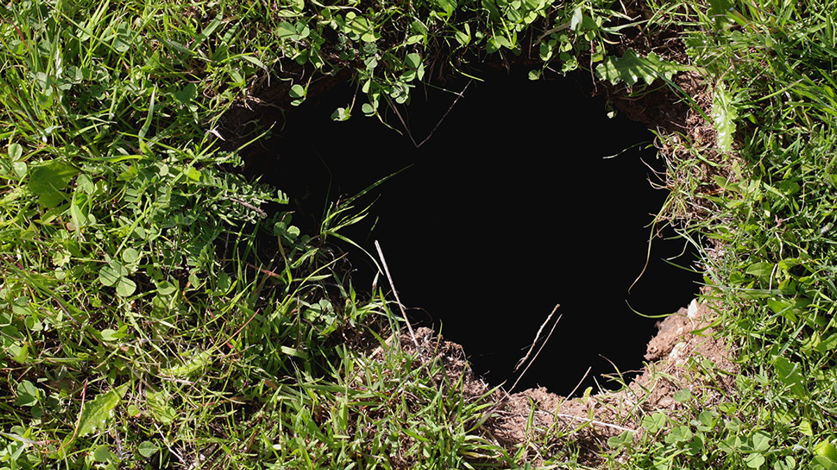 WEB3-RABBIT-HOLE-TUNNEL-GREEN-GRASS-shutterstock_71616757-Konstantnin-Shutterstock