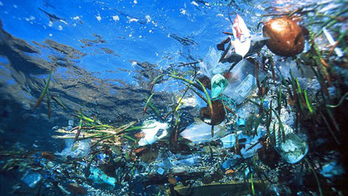 Plastic in Ocean