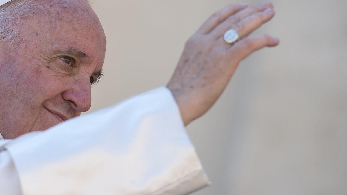 Pope Francis Profile