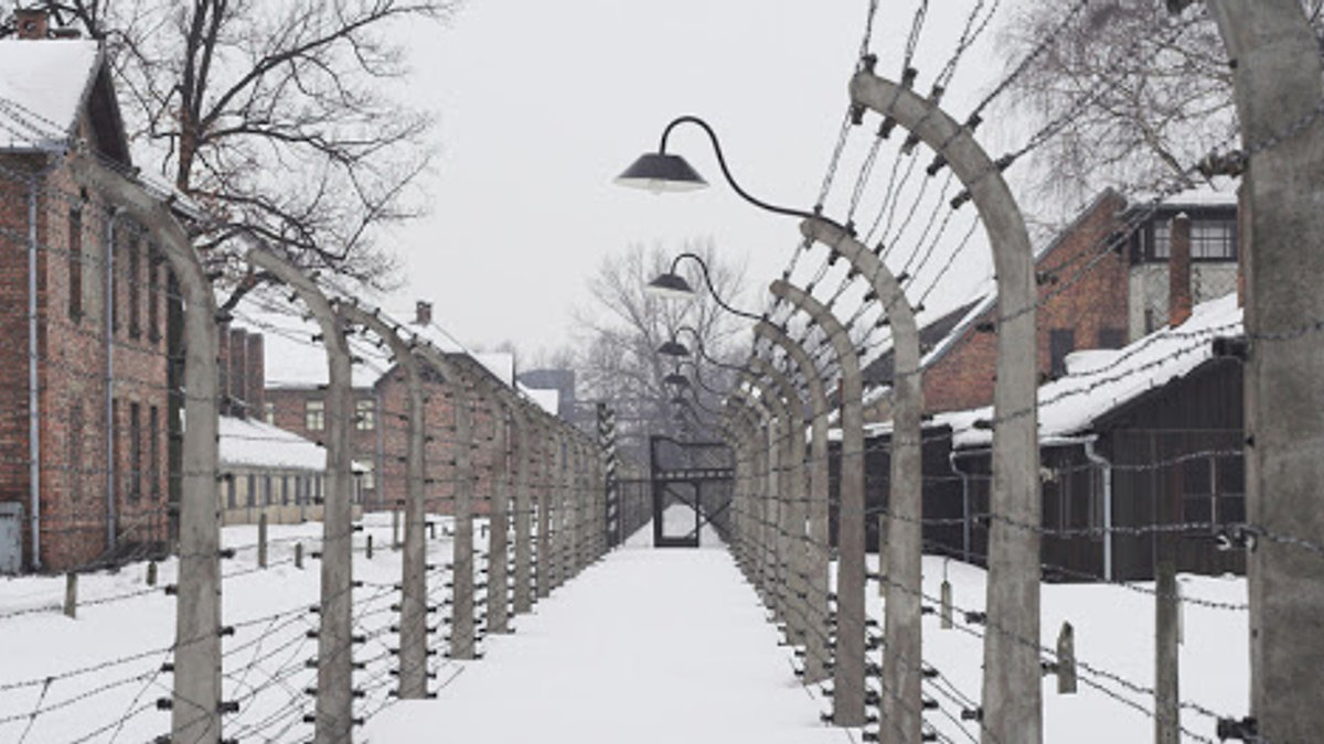 auschwitz – fr