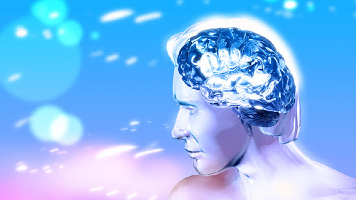Human brain – fr