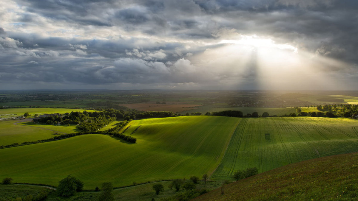 WEB EARTH SKY LIGHT GREEN © Tommy Clark CC Flickr