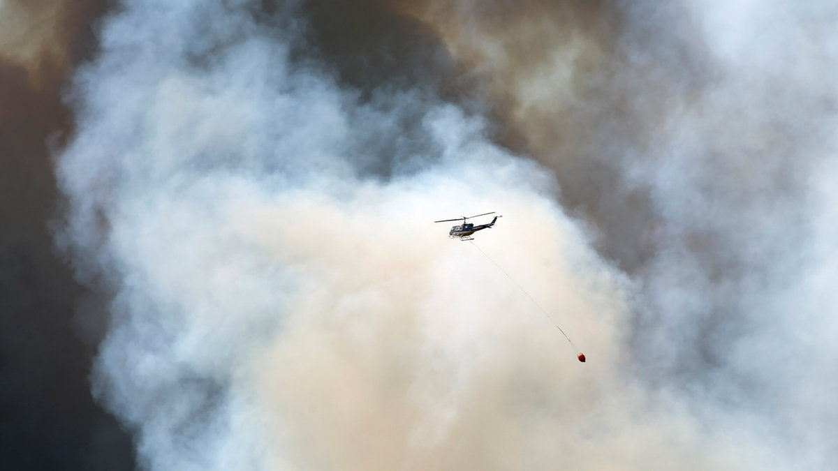 WEB FIRE ALBERTA CANADA FOREST © Chris Schwarz CC