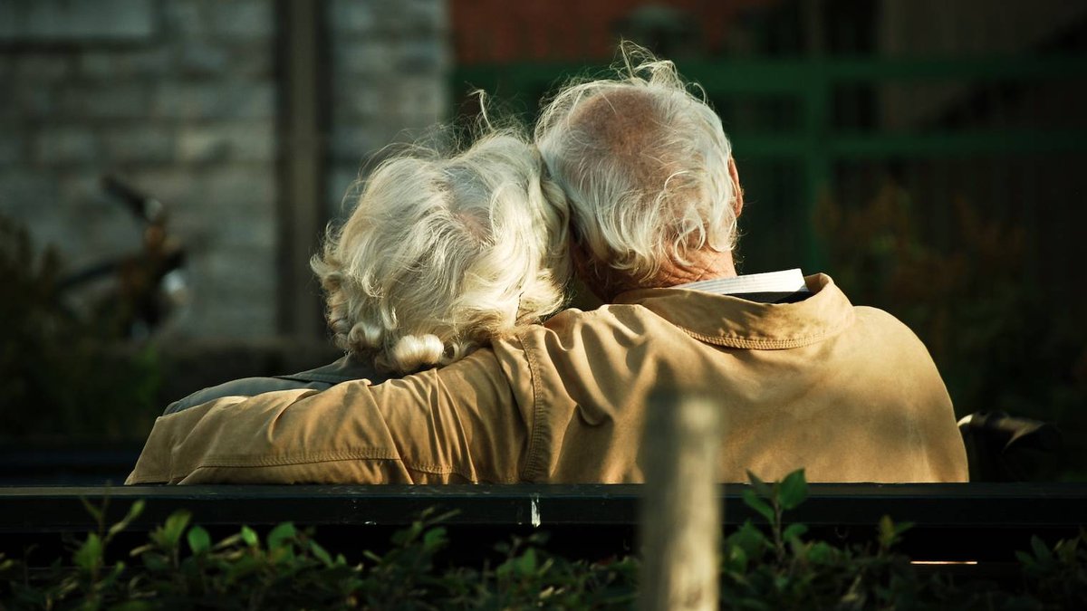web-old-couple-embrace-bench-back-candida-performa-cc