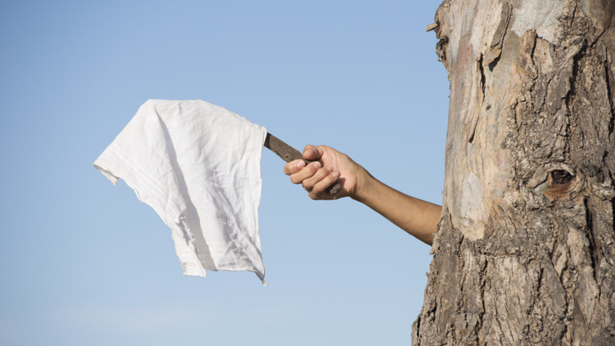 WEB-WAVE-WHITE-FLAG-ROB-BAYER-SHUTTERSTOCK