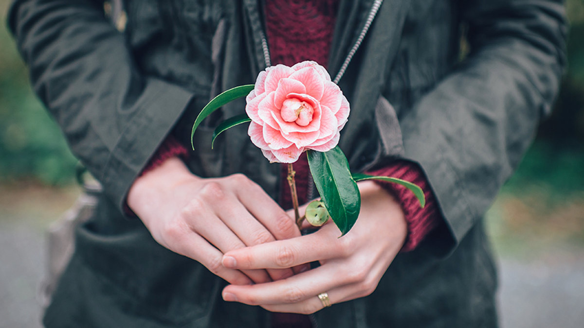WEB3-FLOWER-HANDS-GIFT-BRIGHT-HOPE-PINK-Ian-Schneider-Unsplash